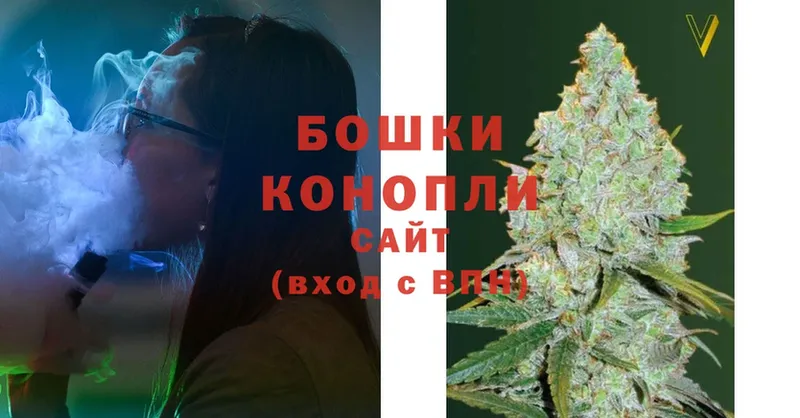 Бошки марихуана THC 21%  Боровск 